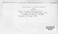 Image Associated With the Occurence